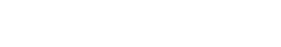 DSSF ACADEMY